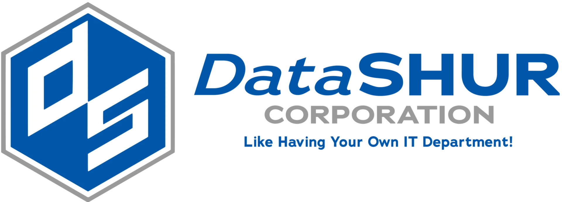 FINAL DataShur Logo 9.23.24